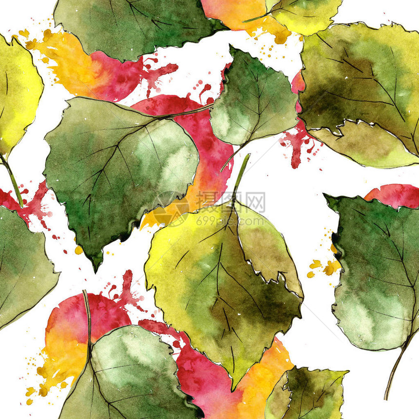 绿桦树叶植物园花卉叶子无缝背景图案织物壁纸打印纹理背景纹理包装图案框架或边图片