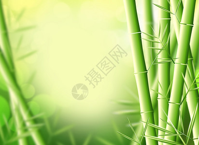 竹背景插图与空白间图片