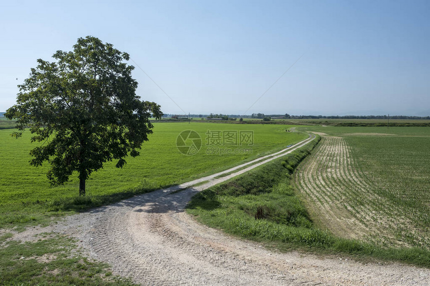 夏季在Guardamiglio和SanRoccoalPorto意大利伦巴迪Lodi附近的Po周期道路沿图片