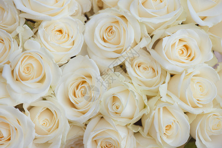 白花装饰婚礼花卉装饰背景图片
