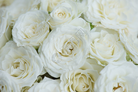鲜切花白花装饰婚礼花卉装饰背景