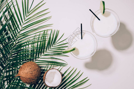 有机椰子绿棕榈叶和花椰子鸡尾酒杯图片
