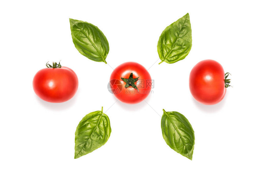 番茄与罗勒叶在白色上分离的成分图片