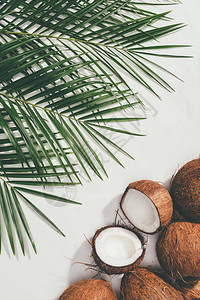 新鲜天然椰子和白色绿棕榈叶的顶视图图片