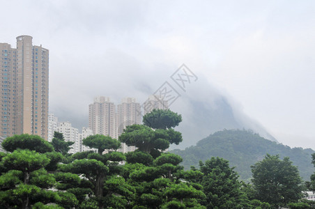 香港沙田中央公园图片