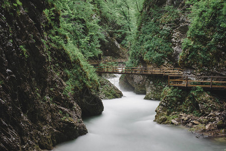 斯洛文尼亚的VintgarGorge美丽的峡谷图片