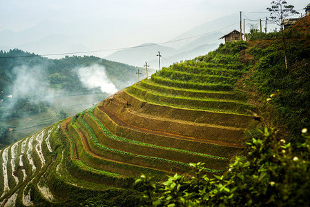 在越南萨帕地区山的极图片