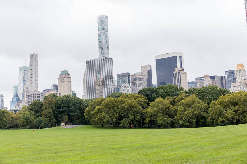 在城市公园和摩天大楼的树林在纽约图片