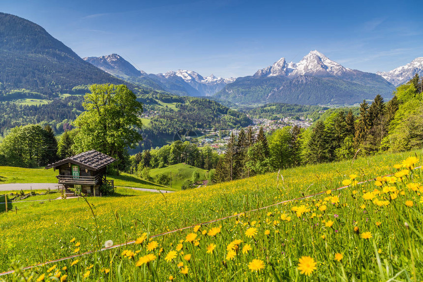 阿尔卑斯山田园诗般的山景的美丽景色图片