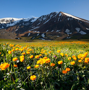 山脉草地图片