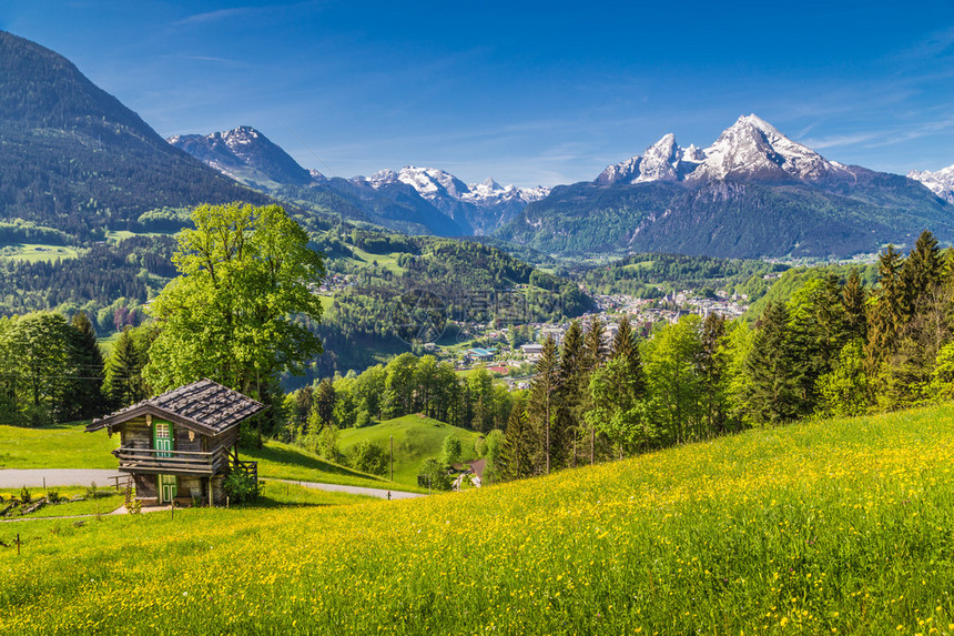 阿尔卑斯山田园诗般的山景全图片