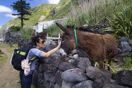 葡萄牙亚速尔岛的观光客拥抱驴子AzoresI图片