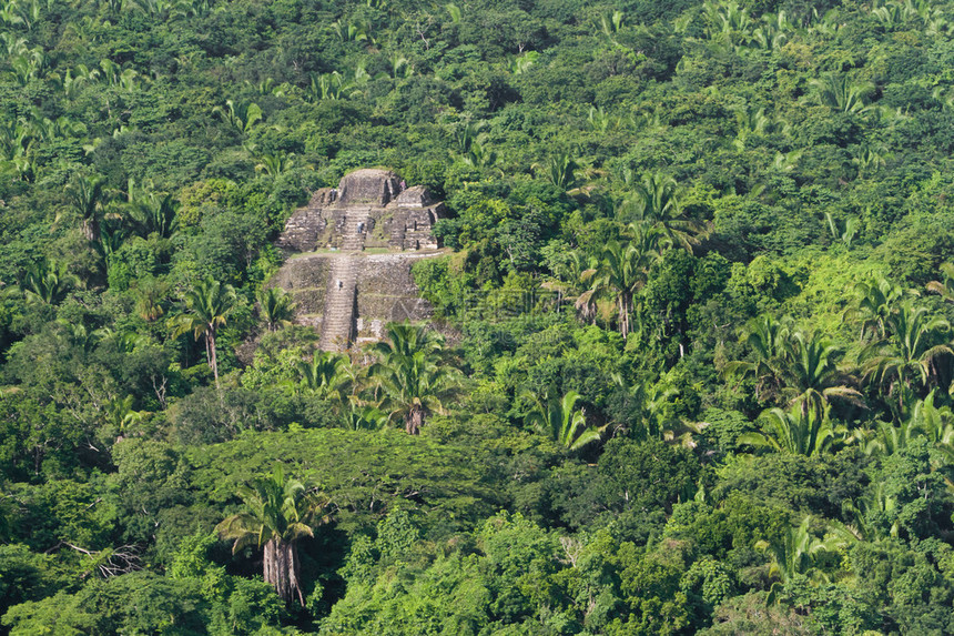伯利兹热带雨林中LamanaiMaya废图片