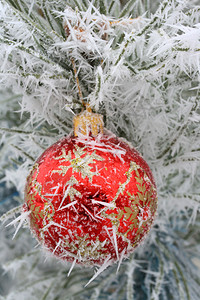 在被霜覆盖的圣诞树上的圣诞装饰图片