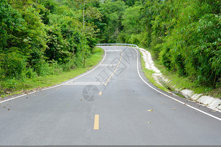 在森林里的柏油路左转背景图片