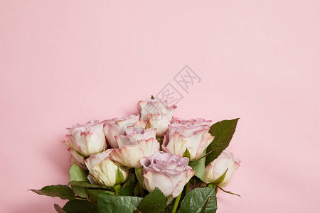 美丽的粉红色玫瑰花束的顶部视图粉红色图片
