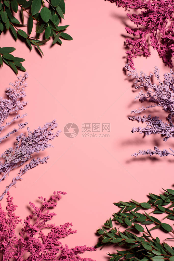 粉红色桌面上的花朵和树图片