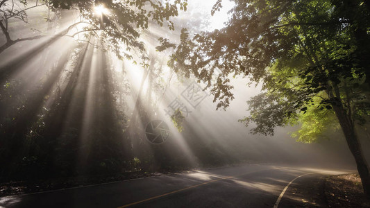 照亮了一条弯曲的风景秀丽的道路图片