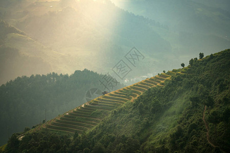 山上的水稻梯田美丽的光图片