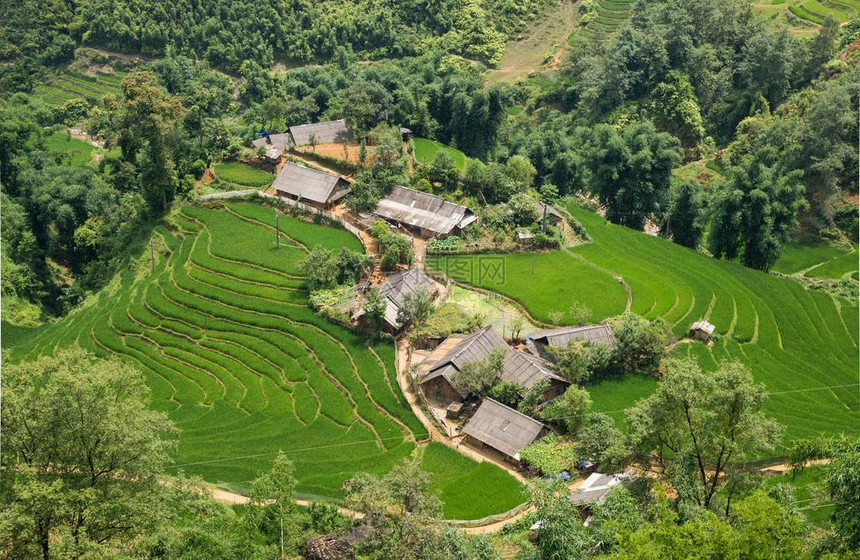 农业绿色稻田和水稻梯田在SAPA老街穆仓柴越南的山上大部分地区是水稻梯田图片