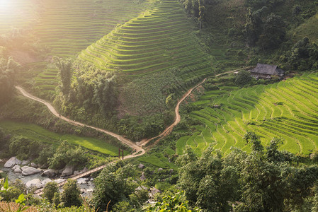 日落和农业绿稻田和水稻梯田在越南老蔡武昌猜的图片
