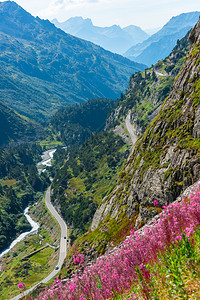 夏季景色的山坡上有青红野花在前头图片