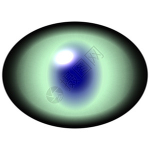 与光滑的虹膜和绿色视网膜的阴暗椭圆学图片
