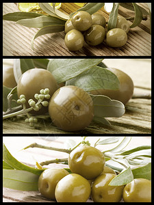 一套橄榄油料作物设计图片