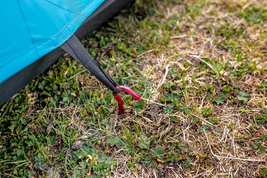 蓝色野营帐篷的放置钉子和草的宏观拍摄图片