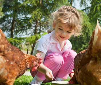 女童喂养鸡图片