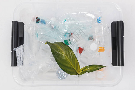 用塑料瓶子和绿色叶子隔在白色的容器顶部图片