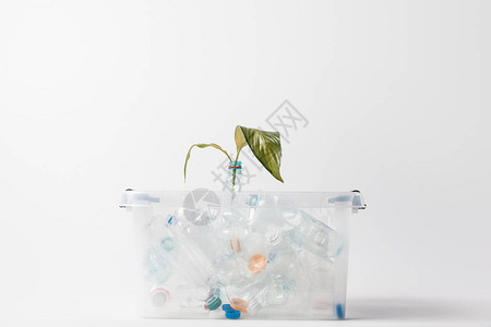 用塑料瓶子和绿色叶子隔着灰色隔离的集装箱近视图片