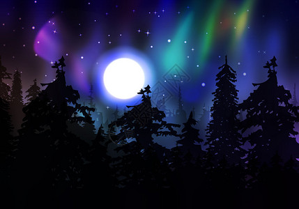 北极光夜晚森林上空的北极光图片