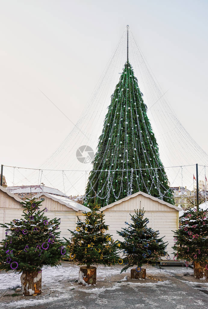在立陶宛维尔纽斯大教堂广场安装的圣诞树市场图片