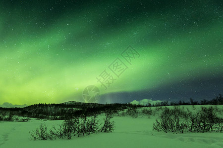 夜晚的北极光北极光图片