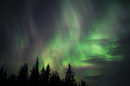 阿拉斯加的AuroraBorealis天空图片