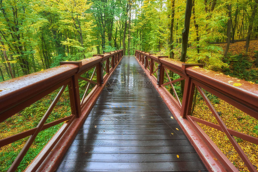 林中美丽的木桥有色树叶秋天清图片