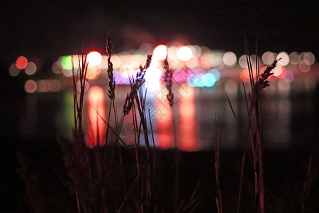 夜间城市散景背和前景中的草叶图片