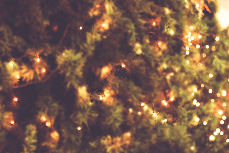 模糊的圣诞节背景挂在松树上的灯光图片