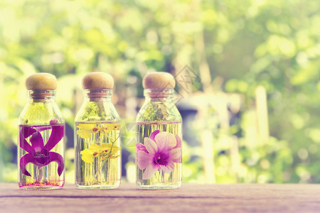 三瓶草药精品以自然背景的图片