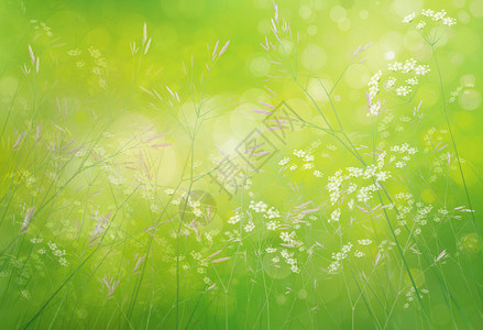 带植物的春绿色花岗图片