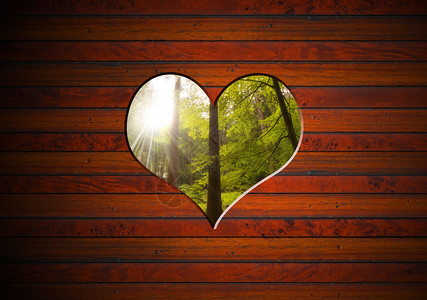 棕色木墙有松木和山毛榉的心形洞和森林图片