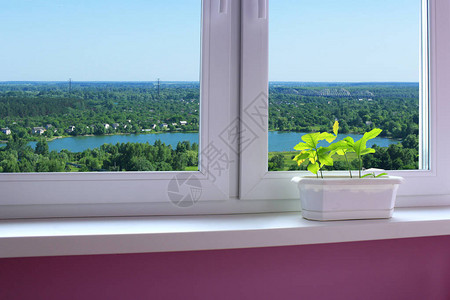 舒适房间窗台上的花盆和乡间别墅的景色图片