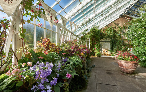 在英国东北英格兰华灵顿花园的温室绿屋植物种植图片