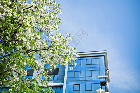 春季办公大楼业务概念图片