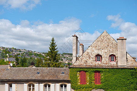 在法国野生藤装饰的石屋图片