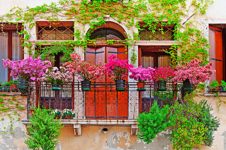 带阳台的意大利窗户用鲜花装饰图片