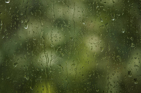 雨滴落在窗户上背景是绿树图片