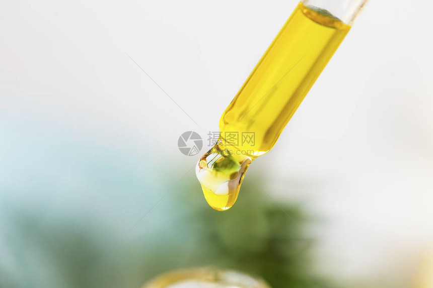 从管子闭合芳香疗法基本石油概念替代药物中流图片