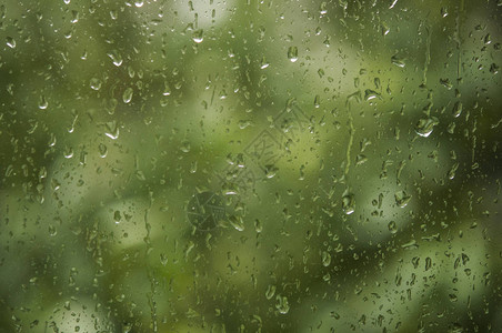 雨滴落在窗户上背景是绿树图片
